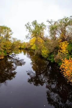 Stream going through a colorful forest in Merril, Wisconsin Stock Photos