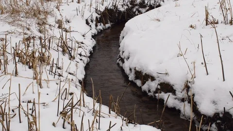 Stream going through a snow covered land Stock Footage 108641885