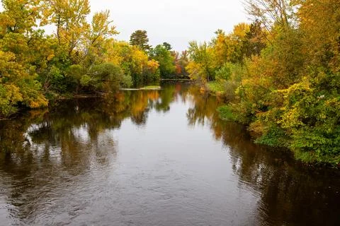 Stream going under a bridge through a colorful forest in Merril, Wisconsin Stock Photos