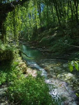Stream in the gorge Stock Photos