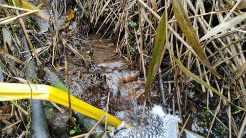 Stream in the grass (2) 4K Stock Footage 291339530