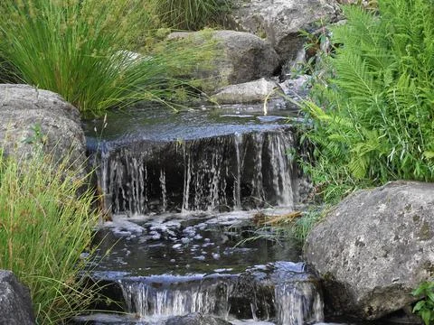 A stream in the grass Stock Photos