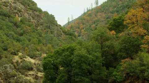 Stream grass valley reveal Stock Footage 74095980