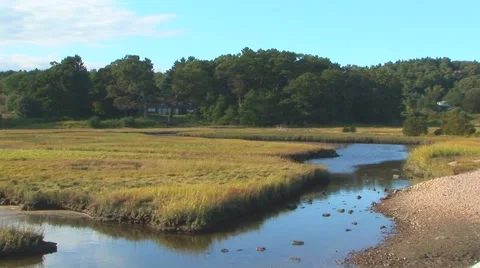 Stream in Grassy Field Stock Footage 40684210