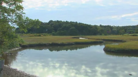 Stream in Grassy Field Stock Footage 40684281