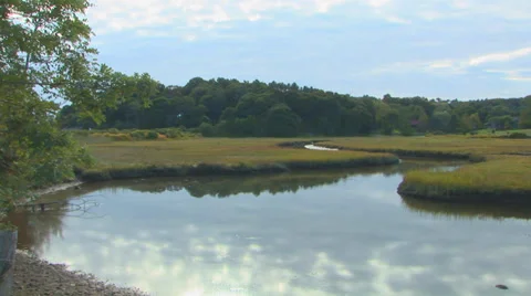 Stream in Grassy Field Loop Stock Footage 38765074