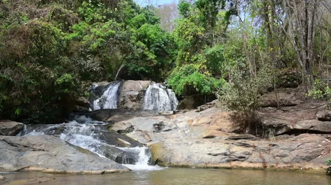 Stream in green forest Vidéo 67870101