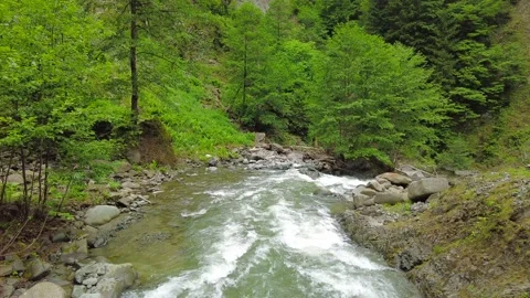 Stream in green forest Video stock 198334839