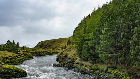 Stream with greenery in Iceland Stock Photos