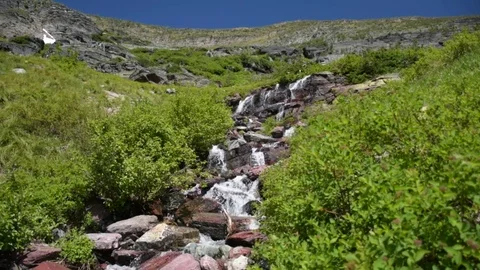 Stream on Grinnell Glacier Trail Stock Footage 83460228
