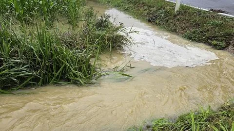 The stream has risen due to the rain Stock Photos