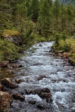 A stream high in the mountains. Stock Photos
