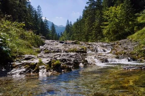 Stream in High Tatras mountains Stock Photos