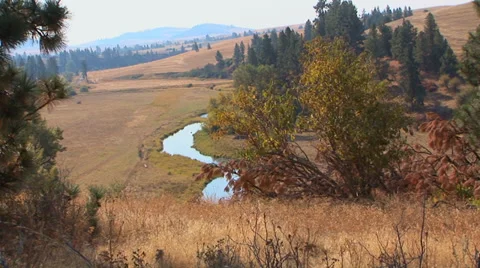 Stream in Hilly Field Stock-Footage 33604872