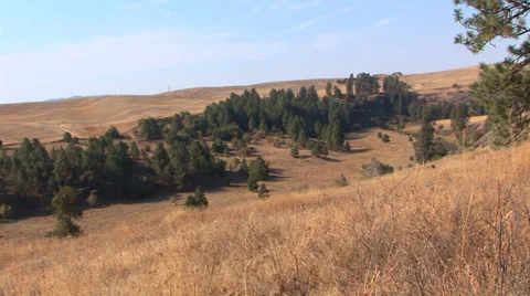 Stream in Hilly Field Stock Footage 33605075