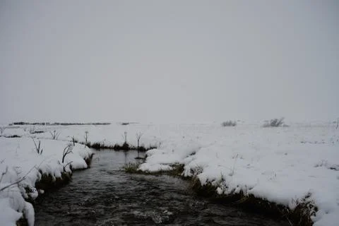 A stream in Iceland Stock Photos