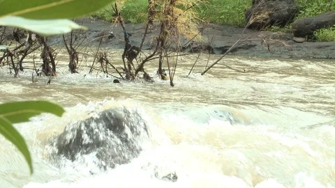 Stream India Video stock 111806118