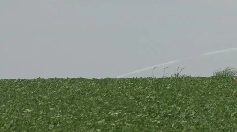 Stream from the irigation hose Vídeo Stock 41135369