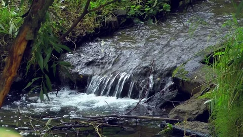 Stream joins the river. Stock Footage 81565119