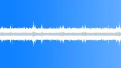 Stream in Jungle Sound Effect