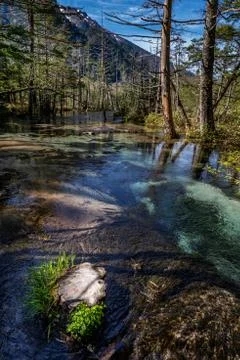 Stream in Kamikochi Stock Photos