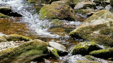 Stream in Killarney National Park. Ring of Kerry in Ireland Stock Footage 86113933