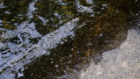 Stream lapping at bank - Slow Motion Close up Stock Footage 244180853