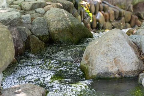 Stream with large stones. Stock Photos