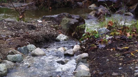 Stream into Las Virgenes River in Los Angeles Video stock 71794454