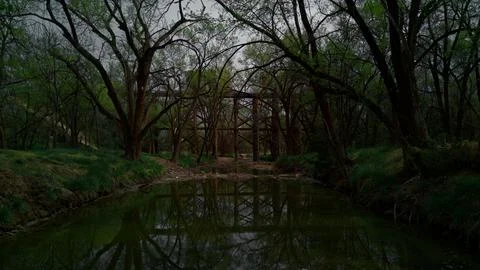 Stream leading to a rustic bridge in a forest Stock Photos