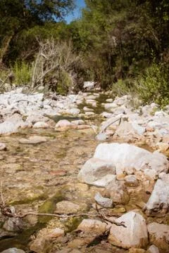Stream with little flow passing between stones. Stock Photos