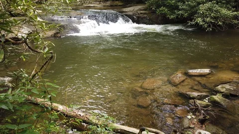 Stream in Lush Green Forest in the Upstate of South Carolina Cascade Falls 4K Stock Footage 126863522