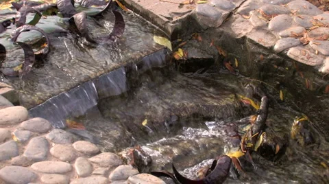 Stream in man-made cascade Stock-Footage 1016277