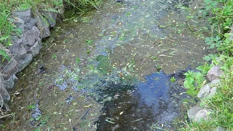 Stream with marsh mud. Video stock 76596291