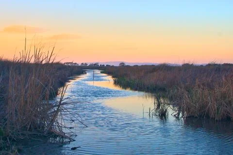 Stream in a marsh at sunset Stock Photos