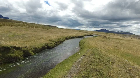 Stream in Meadow Stock Footage 66390332