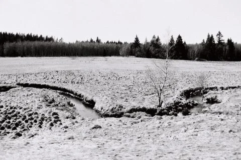 Stream meander in the Ore Mountains landscape, Germany, 7 April 2026, black.. 库存照片