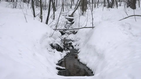Stream of melt water Vidéo 233522534
