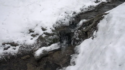 Stream of melted snow flows Vídeo Stock 233431285