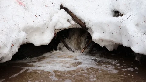 The stream melts snow in the spring Stock Footage 127711642