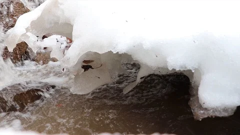 The stream melts snow in the spring Stock Footage 127711823