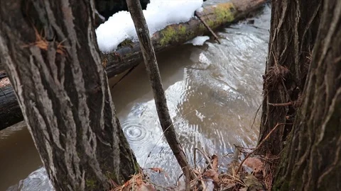 The stream melts snow in the spring Stock Footage 127712715