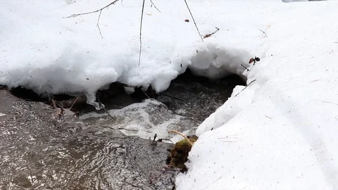 The stream melts snow in the spring Stock Footage 127712870