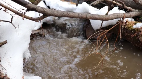 The stream melts snow in the spring Stock Footage 127712960