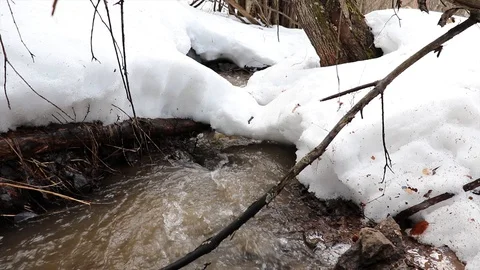 The stream melts snow in the spring Stock Footage 127712990