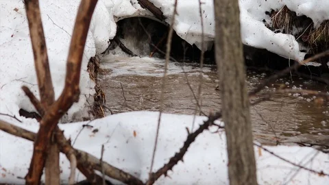 The stream melts snow in the spring Stock Footage 127713028