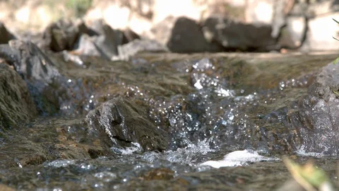 Stream micro world taken in slow motion Stock Footage 94502778
