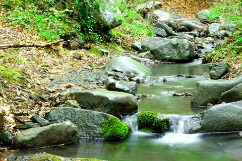 A stream in the middle of the forest Stock Photos