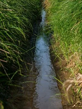 Stream in middle of meadow between fields with brown water Stockfoto's