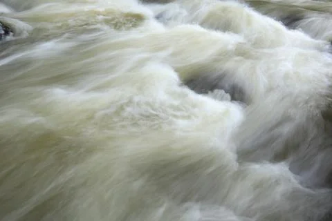 Stream in the middle of a pine forest Stock Photos